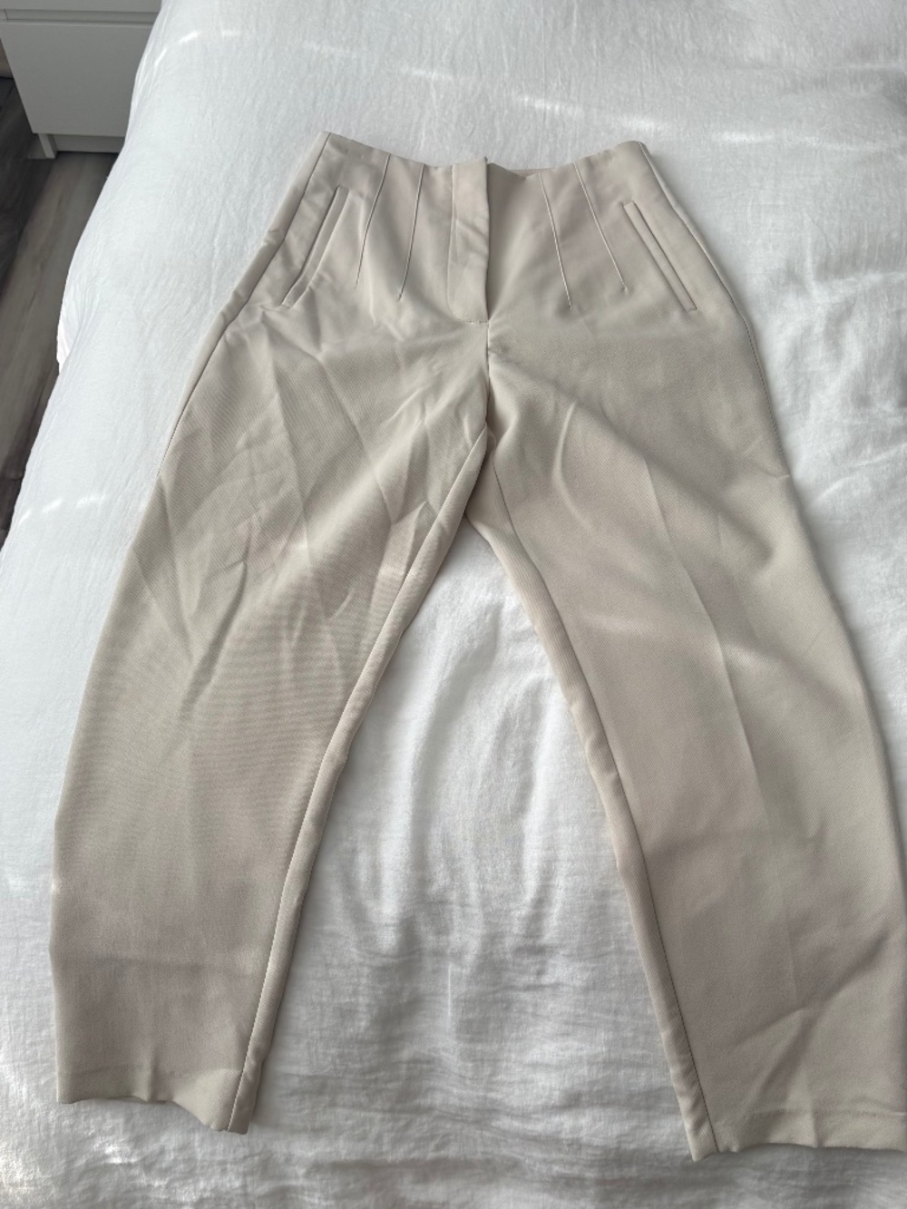 Zara Pleated Trousers